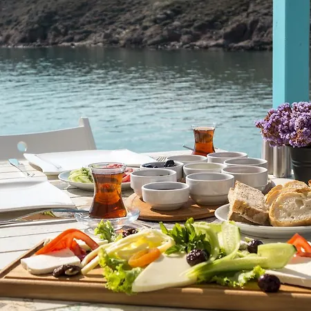 Pelagos بوزجادا