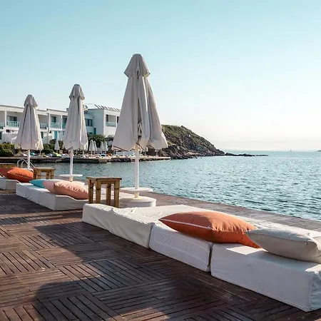 Pelagos * بوزجادا